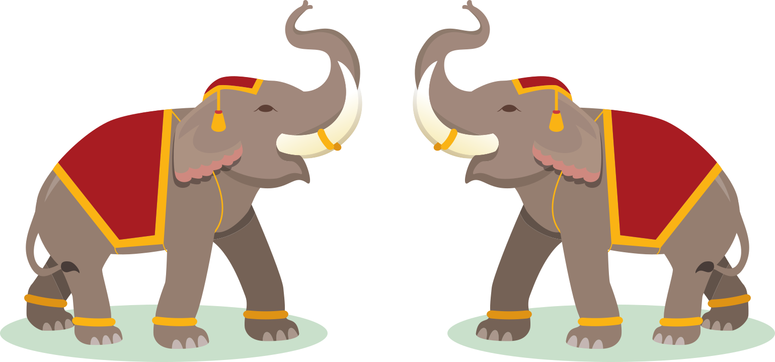 Responsible Elephant Encounters